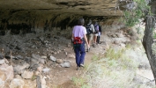 PICTURES/Walnut Canyon Ancients Path/t_Dwellings17 - Under Overhang.JPG